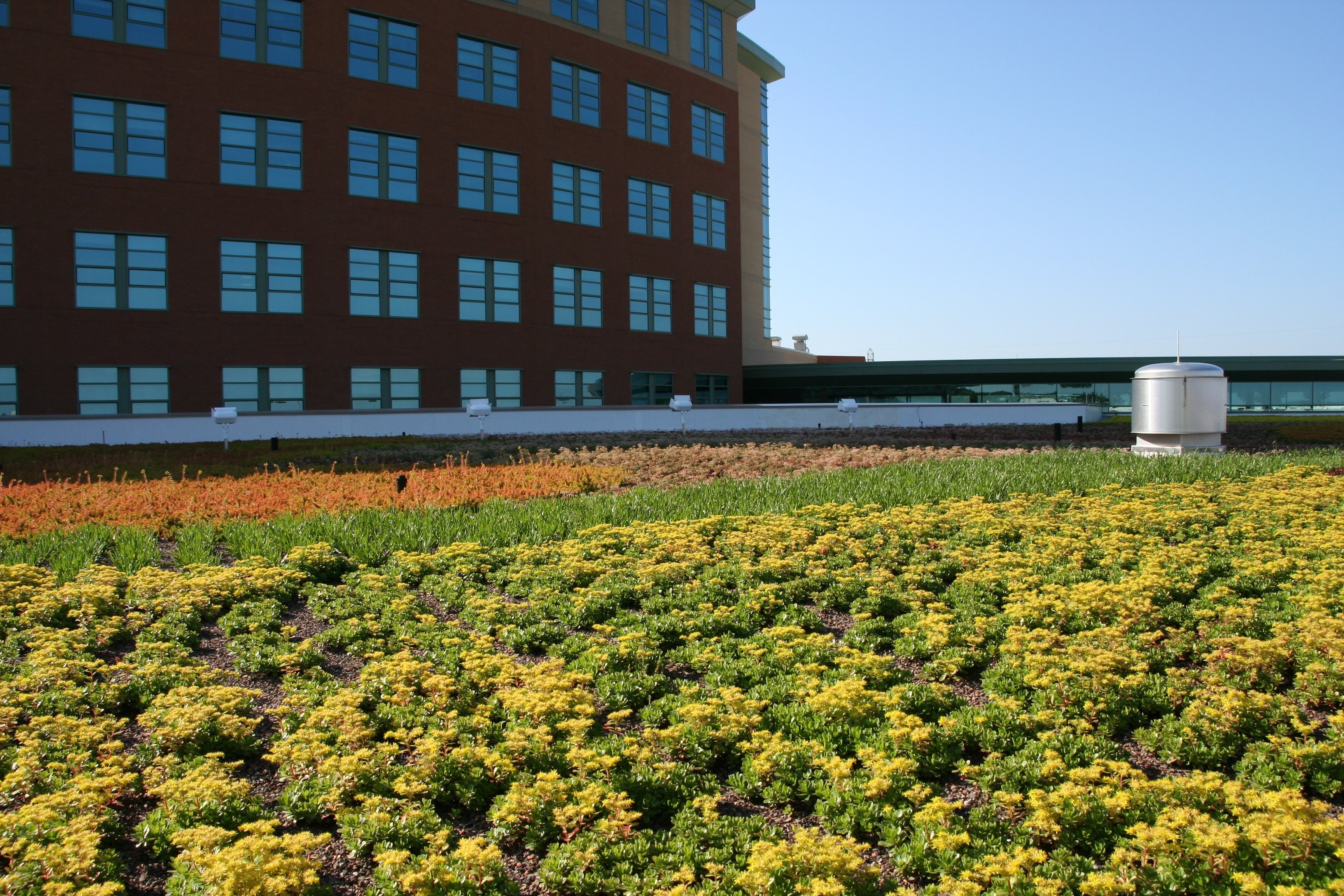 Green roof on hospital building in Michigan 