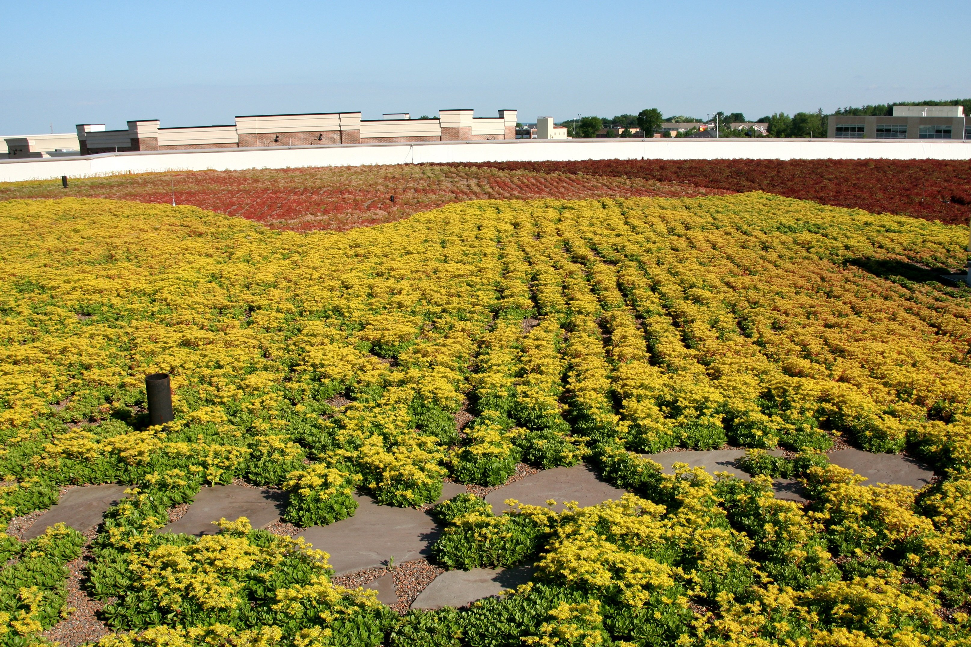 Side view of large green roof in Michigan 