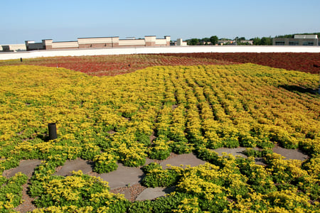 Green Roof 041