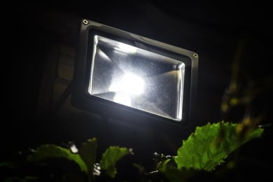 Security light 