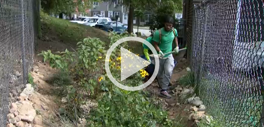 Watch this video to see Yonkers high school students, part of Groundwork Hudson Valley’s Green Team, build a rain garden to help combat flooding in their community. 