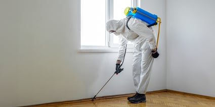 PestControl_FeaturedImage-1