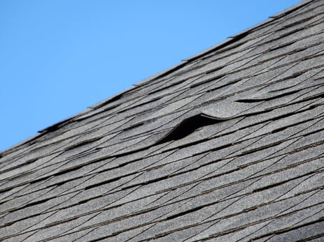Roof with damaged shingle. 