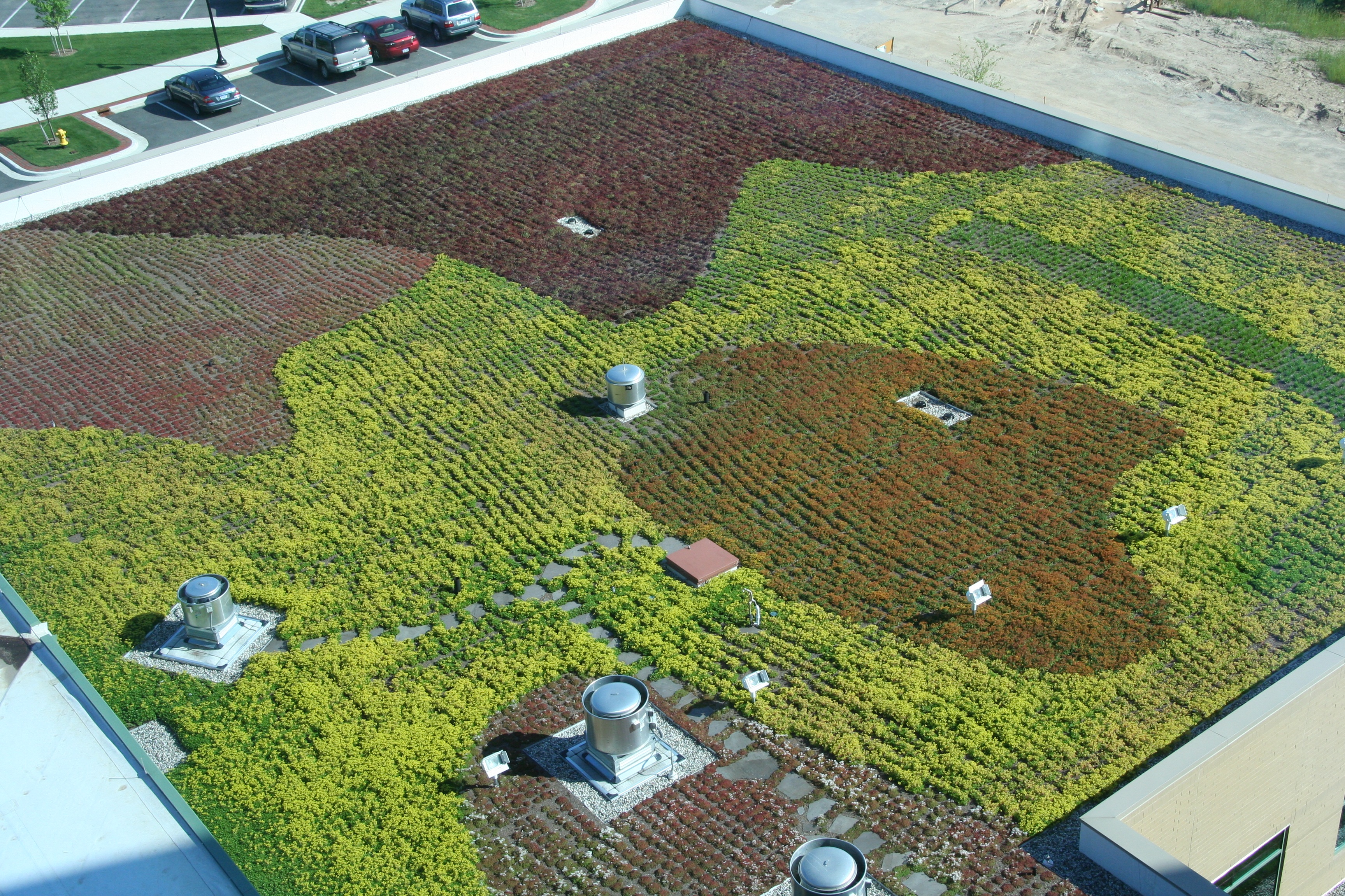 Aerial view of a green roof in Michigan