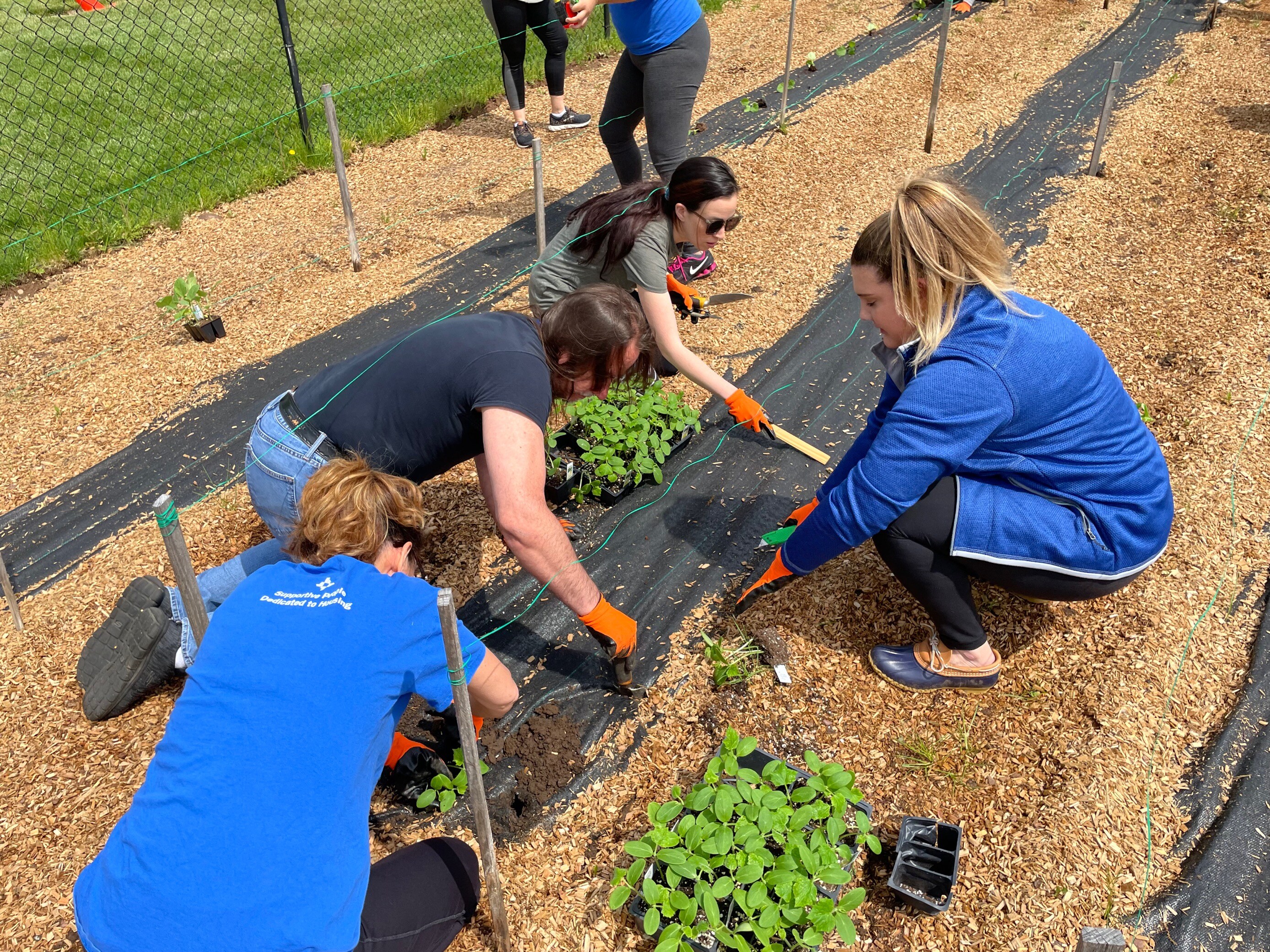 HAI Group employees help prepare the company's community garden